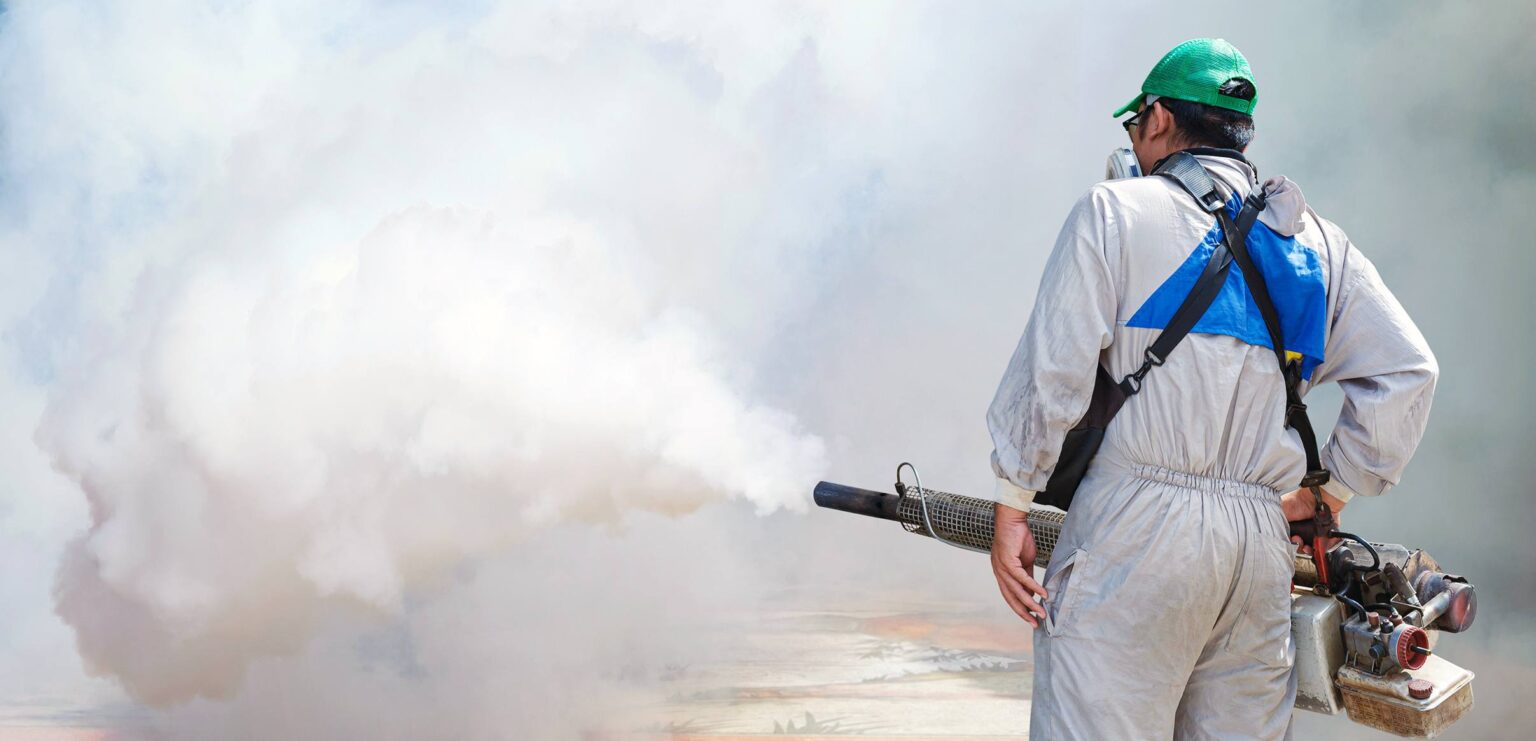 É verão, dengue em atenção! Saiba como lidar com o mosquito