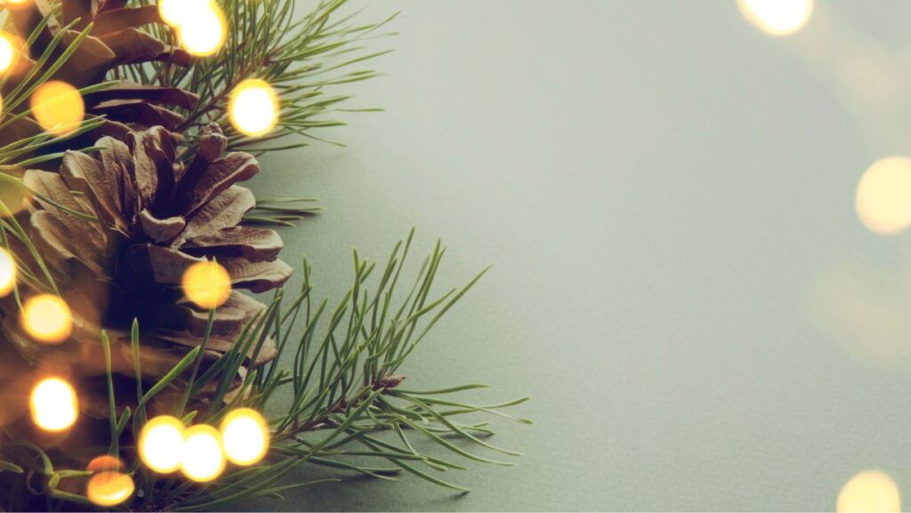 Iluminação de Natal com segurança